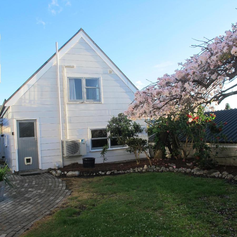 Chez Tiare - The Loft Apartment Napier Bagian luar foto