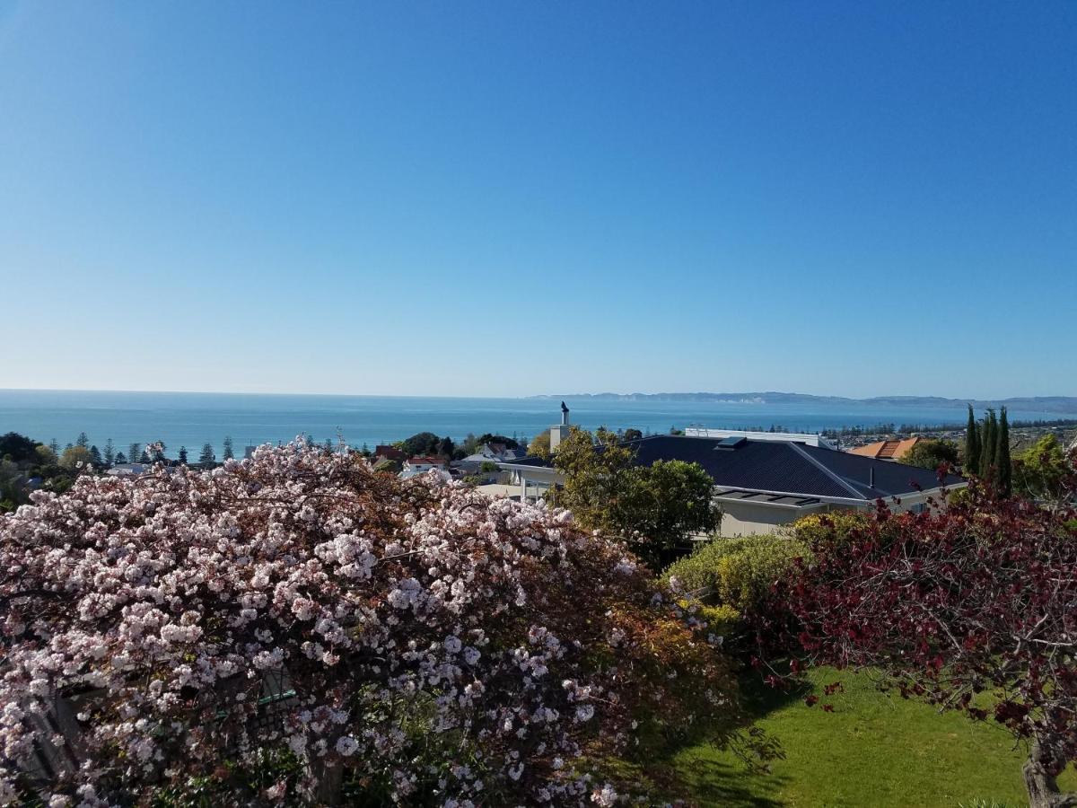 Chez Tiare - The Loft Apartment Napier Bagian luar foto
