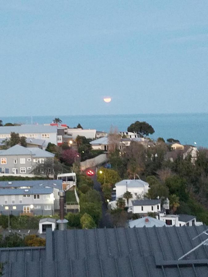 Chez Tiare - The Loft Apartment Napier Bagian luar foto